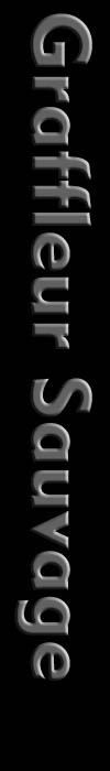 Graffleur